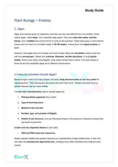 Plant Biology - Protista - Page 1 preview image