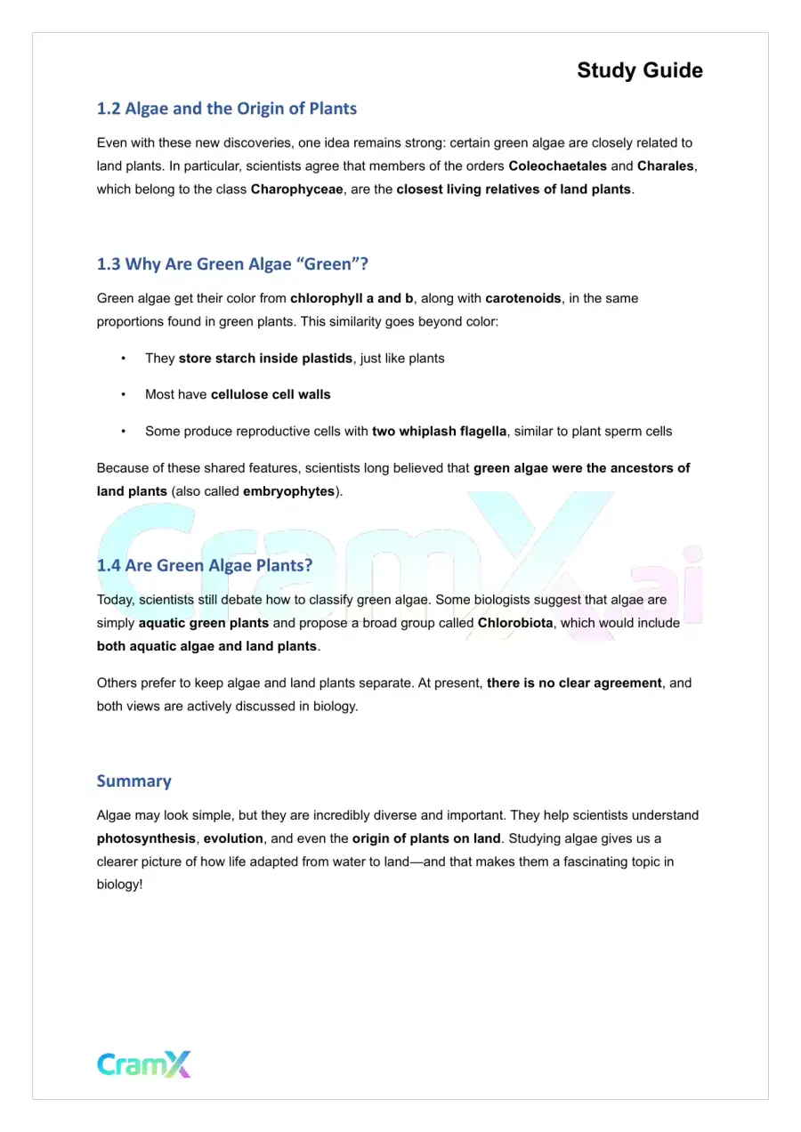 Plant Biology - Protista, page 2