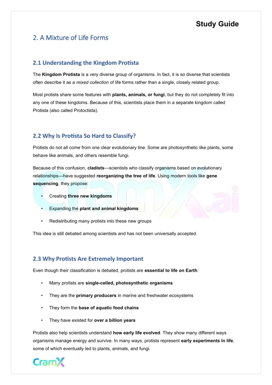 Plant Biology - Protista, page 3