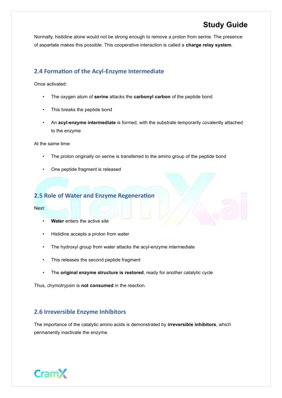 Biochemistry I - Enzymes, page 10