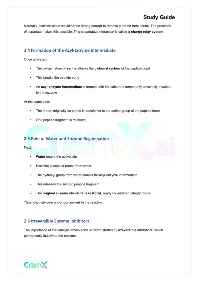 Biochemistry I - Enzymes - Page 10 preview image