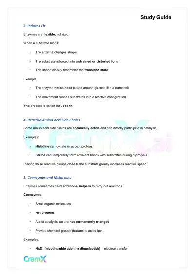 Biochemistry I - Enzymes - Page 3 preview image