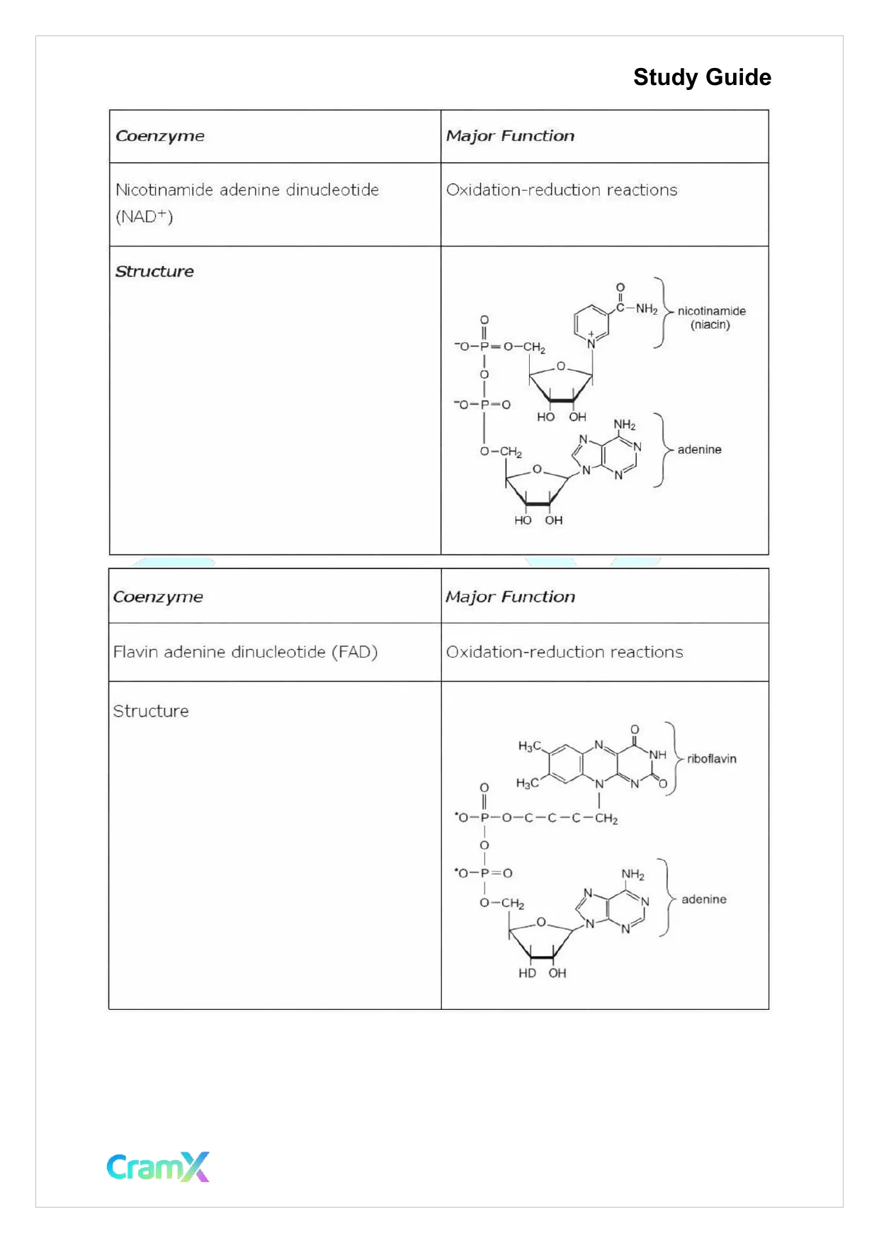 Biochemistry I - Enzymes - Page 5 preview image