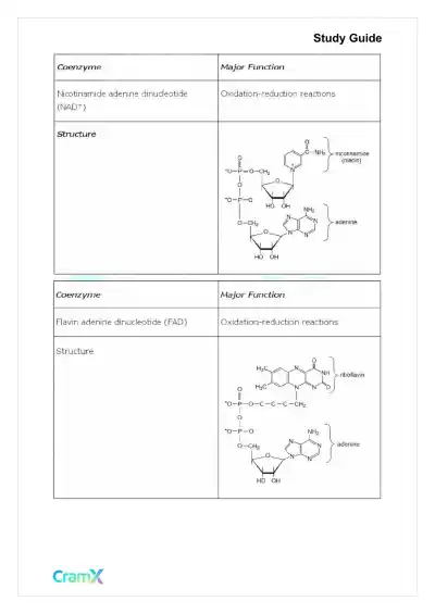 Biochemistry I - Enzymes - Page 5 preview image