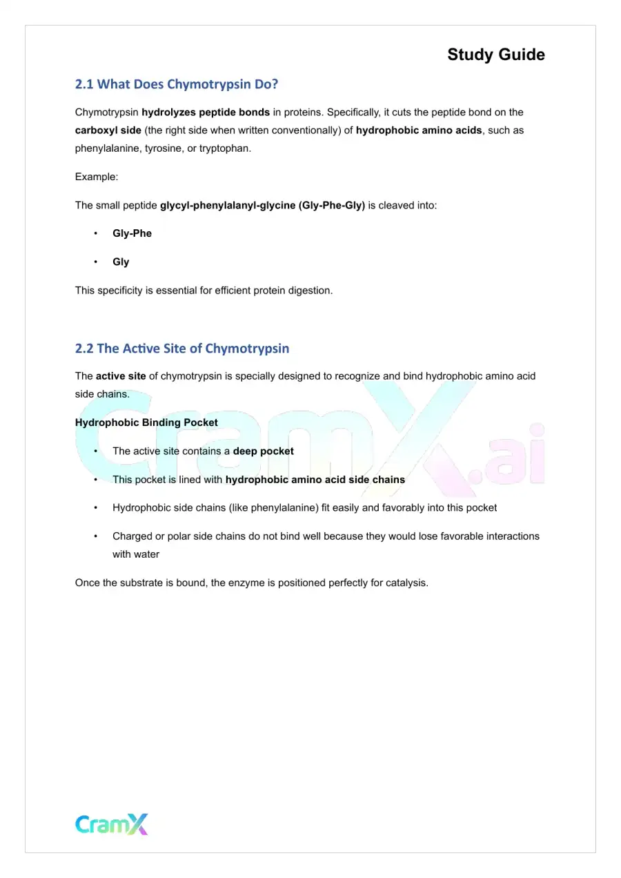 Biochemistry I - Enzymes, page 8
