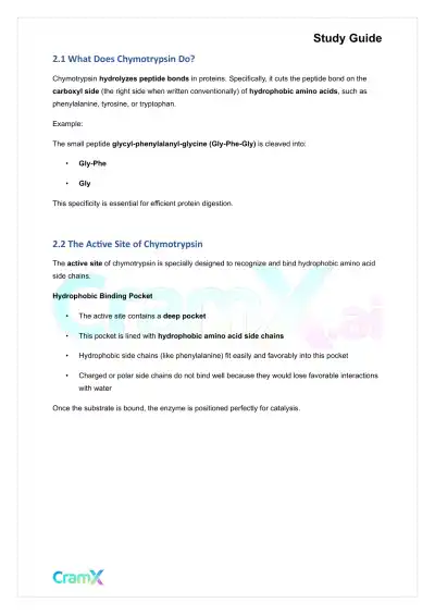 Biochemistry I - Enzymes - Page 8 preview image