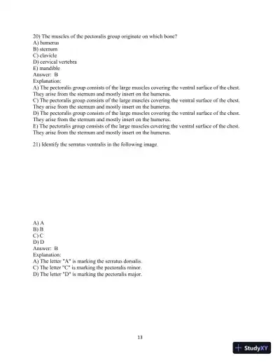 Test Bank for Laboratory Manual for Anatomy and Physiology featuring Martini Art, Main Version , 6th Edition - Page 14 preview image