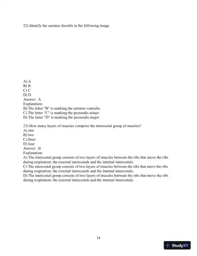 Test Bank for Laboratory Manual for Anatomy and Physiology featuring Martini Art, Main Version , 6th Edition - Page 15 preview image