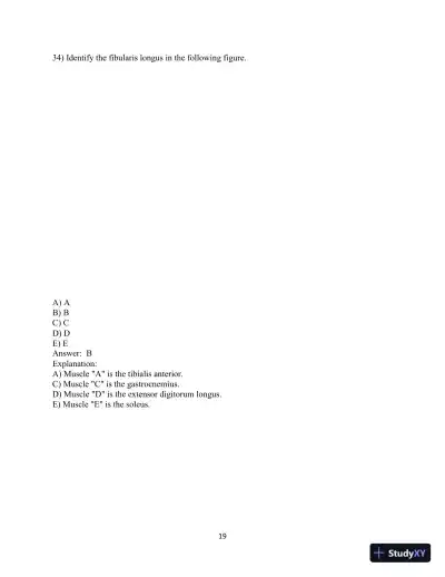 Test Bank for Laboratory Manual for Anatomy and Physiology featuring Martini Art, Main Version , 6th Edition - Page 20 preview image