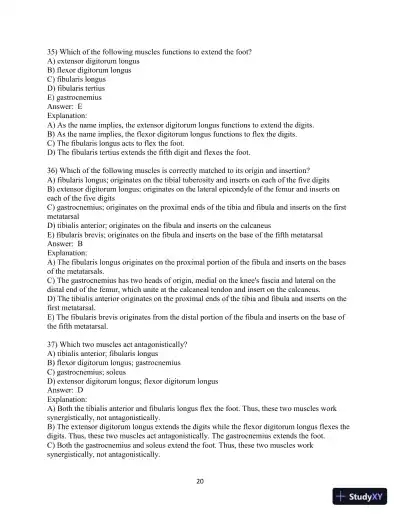 Test Bank for Laboratory Manual for Anatomy and Physiology featuring Martini Art, Main Version , 6th Edition - Page 21 preview image