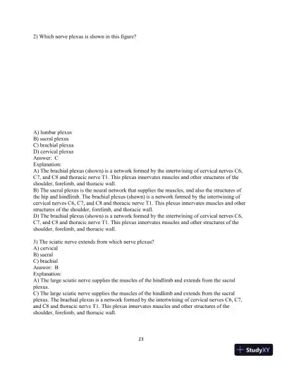 Test Bank for Laboratory Manual for Anatomy and Physiology featuring Martini Art, Main Version , 6th Edition - Page 24 preview image