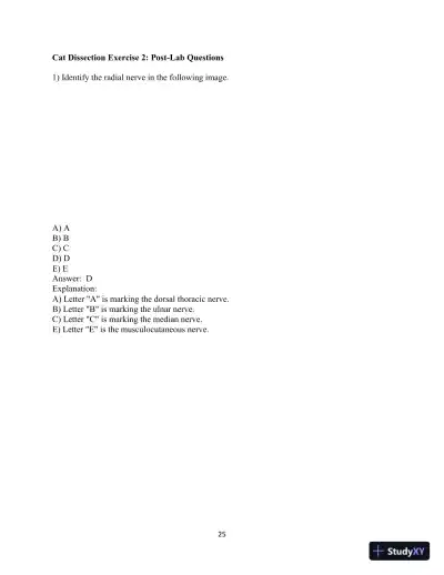 Test Bank for Laboratory Manual for Anatomy and Physiology featuring Martini Art, Main Version , 6th Edition - Page 26 preview image
