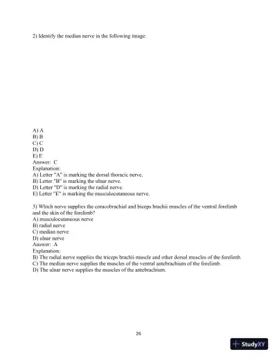 Test Bank for Laboratory Manual for Anatomy and Physiology featuring Martini Art, Main Version , 6th Edition - Page 27 preview image