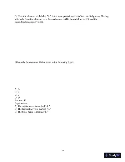 Test Bank for Laboratory Manual for Anatomy and Physiology featuring Martini Art, Main Version , 6th Edition - Page 30 preview image