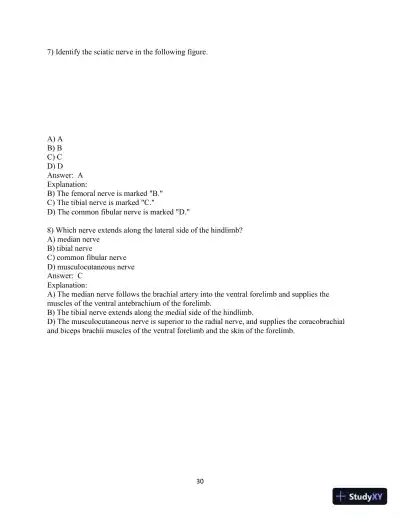 Test Bank for Laboratory Manual for Anatomy and Physiology featuring Martini Art, Main Version , 6th Edition - Page 31 preview image