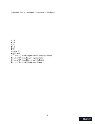 Test Bank for Laboratory Manual for Anatomy and Physiology featuring Martini Art, Main Version , 6th Edition - Page 8 preview image