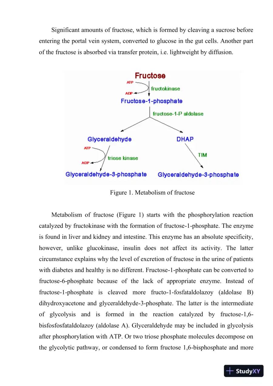 Metabolism and Genetic Disorders of Fructose: Pathophysiology, Diagnosis, and Treatment, page 3