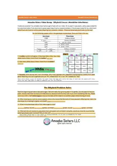 Dihybrid Cross Amoeba Sisters Video Recap - Page 1 preview image