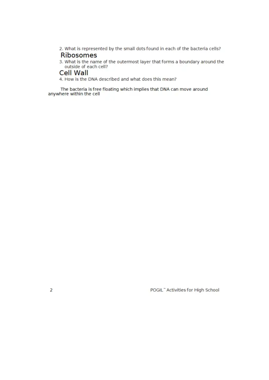 7 Prokaryote and Eukaryote Cells S, page 2
