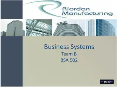 RIORDAN MANUFACTURING Business Systems - Team B BSA 502 - Page 1 preview image