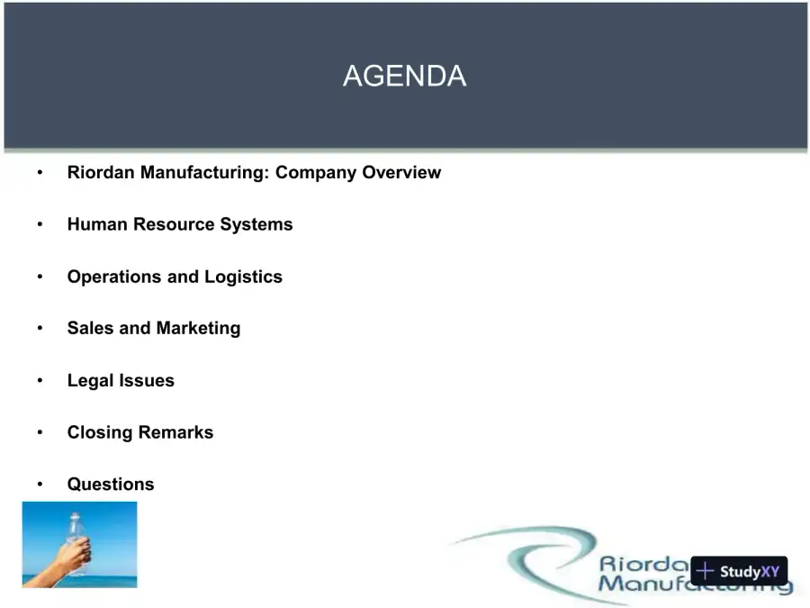 RIORDAN MANUFACTURING Business Systems - Team B BSA 502, page 3