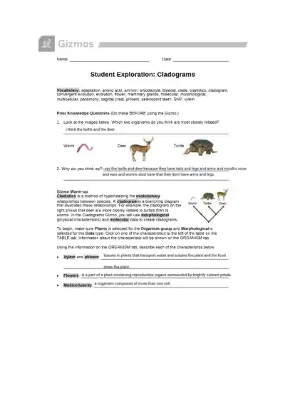 Kami Export Logan Owsley CladogramsSE - Page 1 preview image