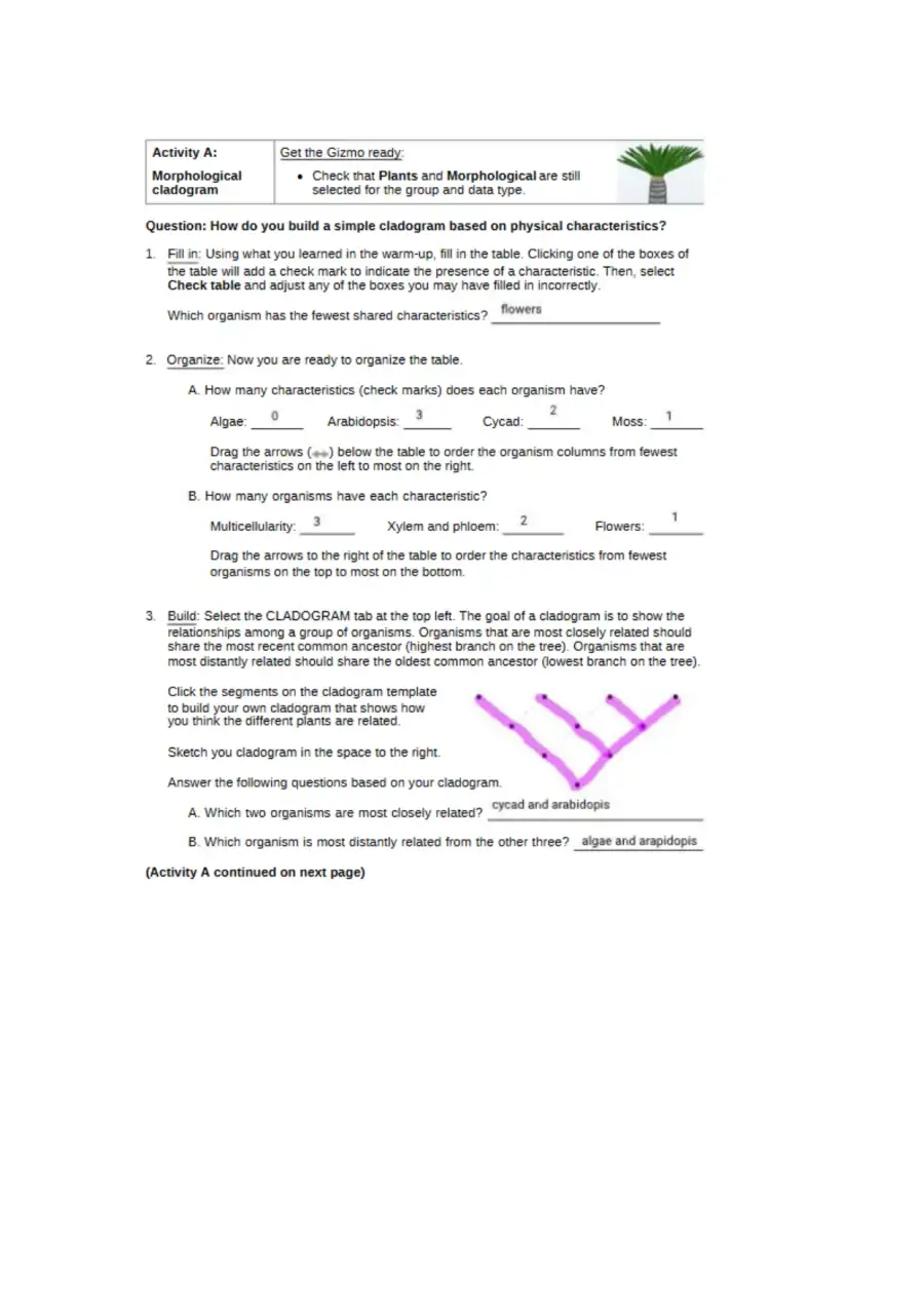 Kami Export Logan Owsley CladogramsSE, page 2