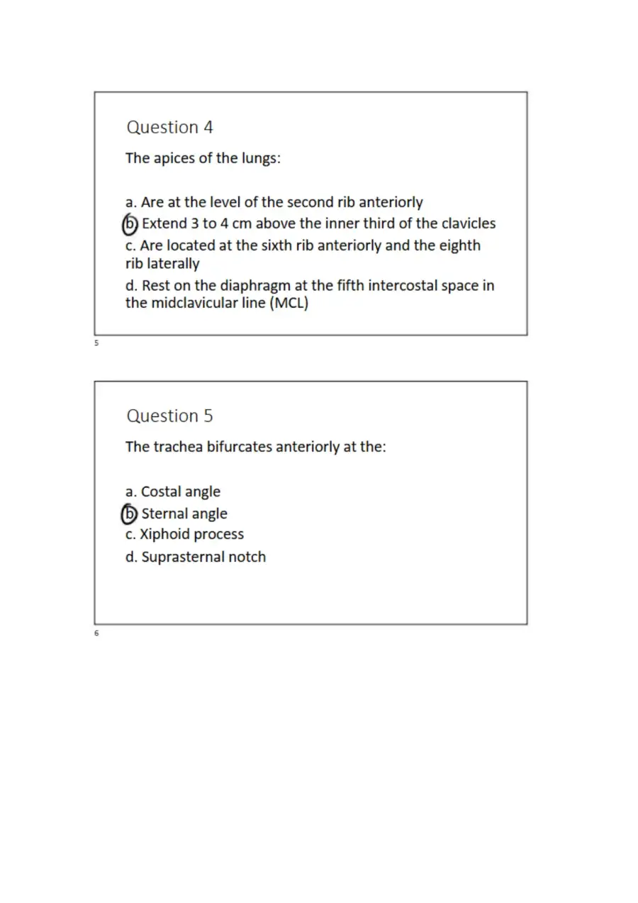 NSG 3160 NCLEX Review Chapter 19, page 3