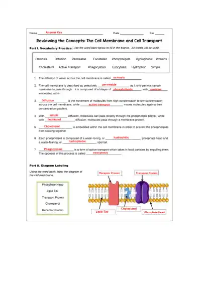 Cell Membrane Transport Worksheet KEY Exemplar - Page 1 preview image