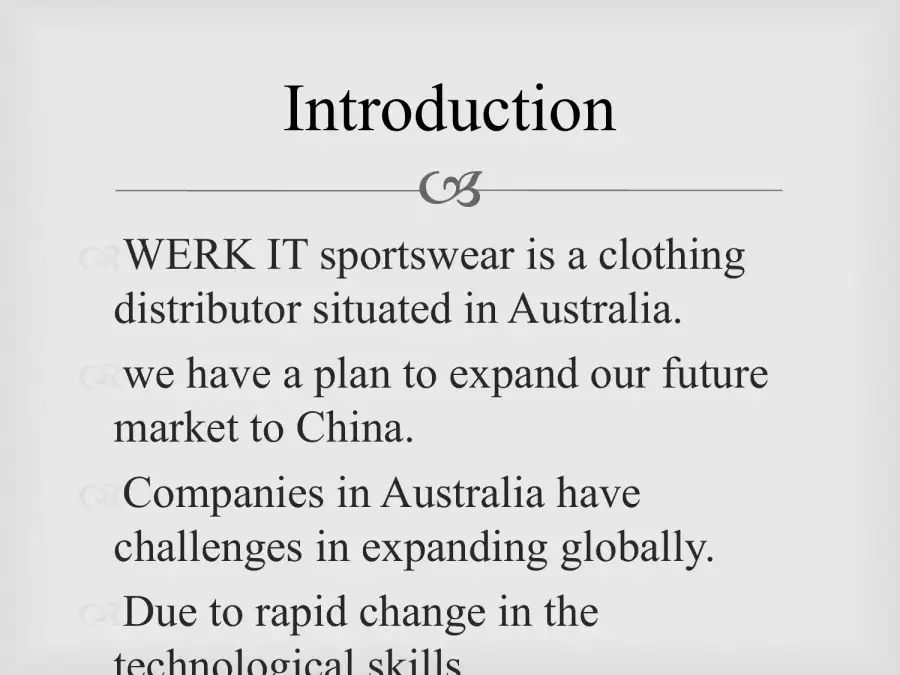 Global Strategic Marketing Plan For Werk It Sportswear, page 2