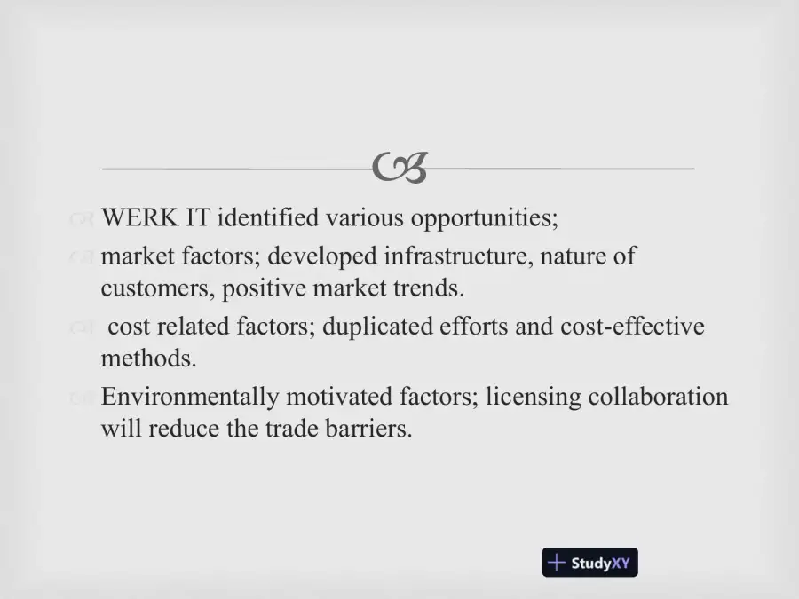 Global Strategic Marketing Plan For Werk It Sportswear, page 4