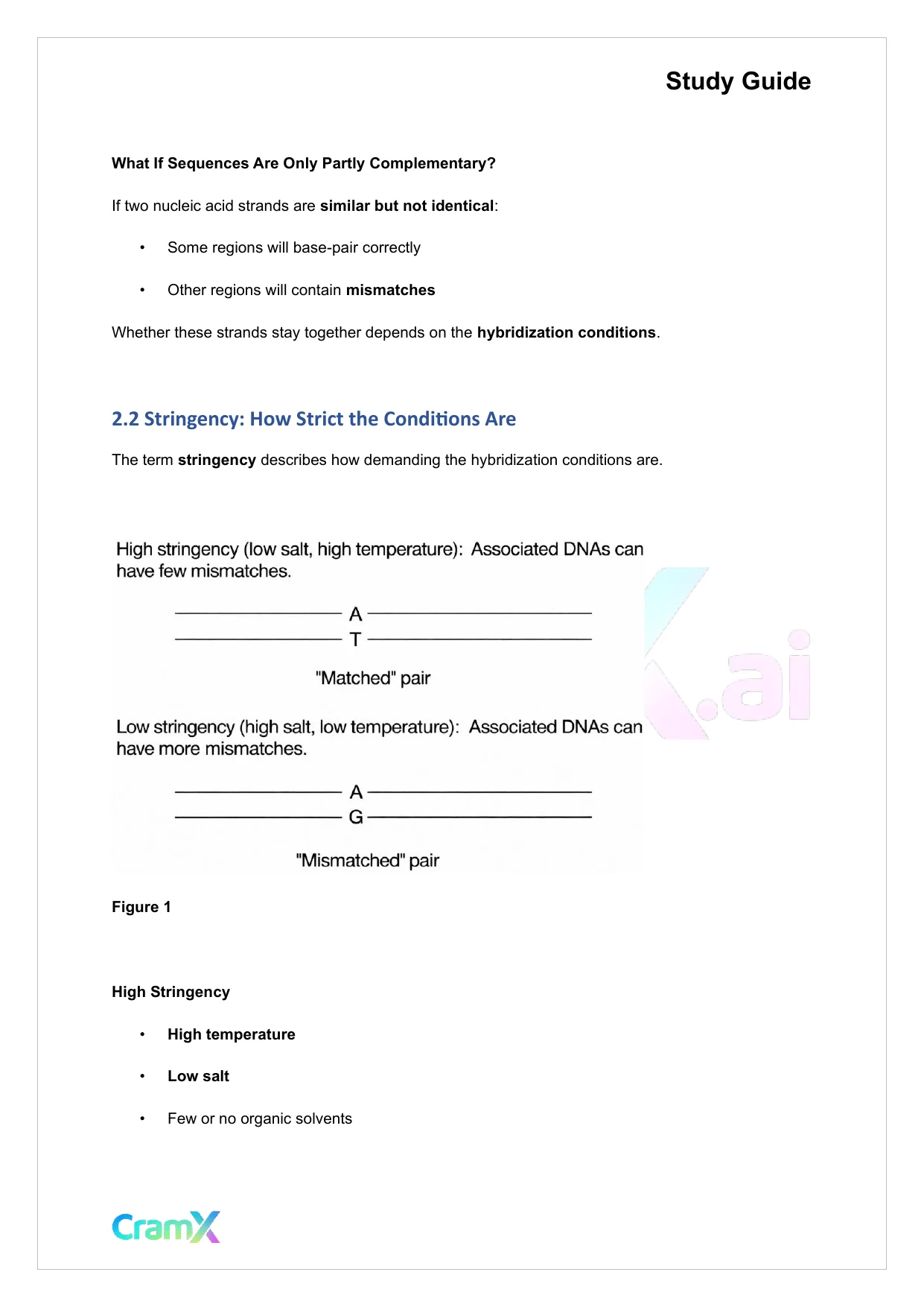 Biochemistry-II - Molecular Cloning of DNA - Page 5 preview image