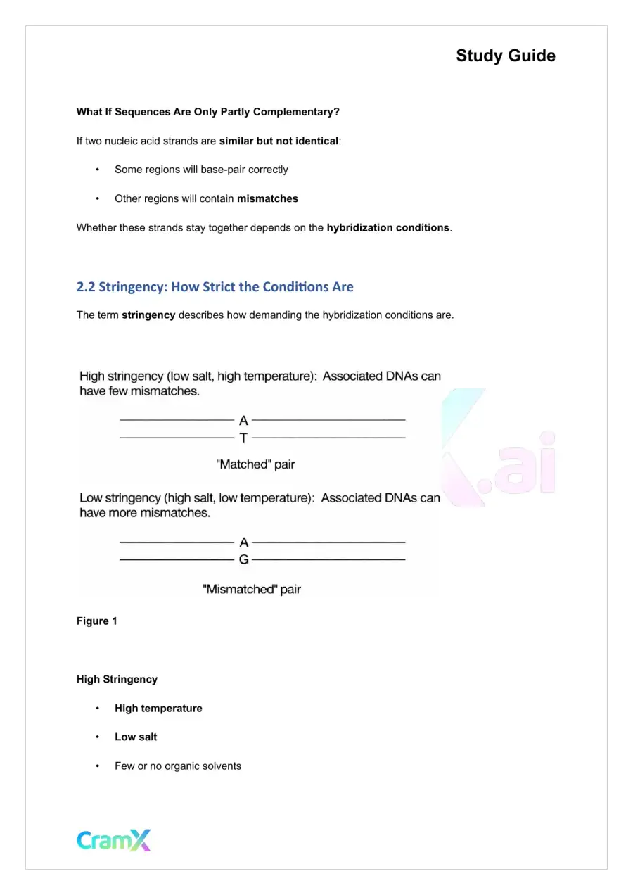 Biochemistry-II - Molecular Cloning of DNA, page 5