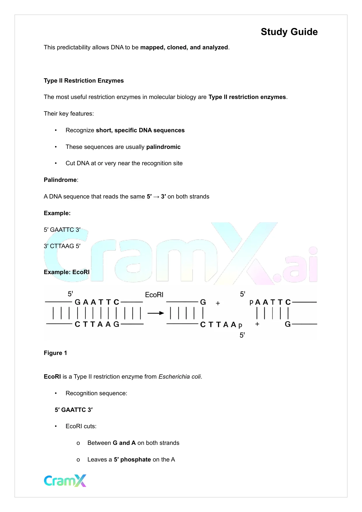Biochemistry-II - Molecular Cloning of DNA - Page 8 preview image