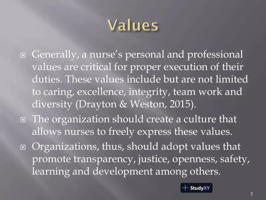 Organizational Values Presentation, page 3