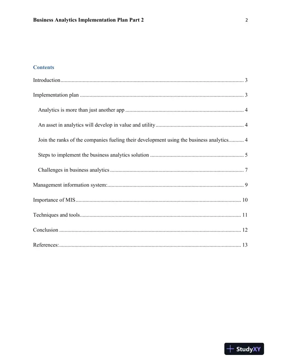 Business Analytics Implementation Plan Part 2, page 3