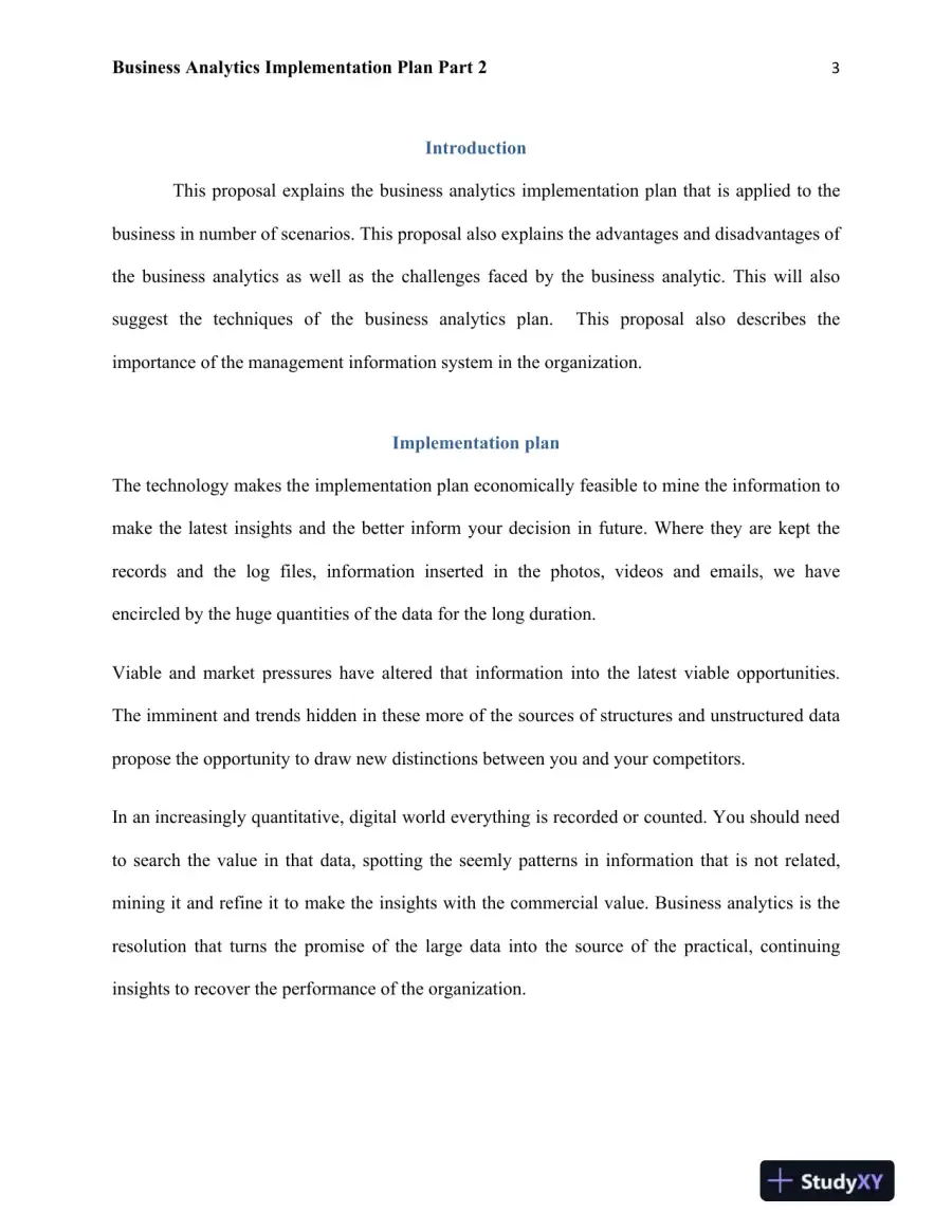 Business Analytics Implementation Plan Part 2, page 4
