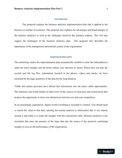Business Analytics Implementation Plan Part 2 - Page 4 preview image