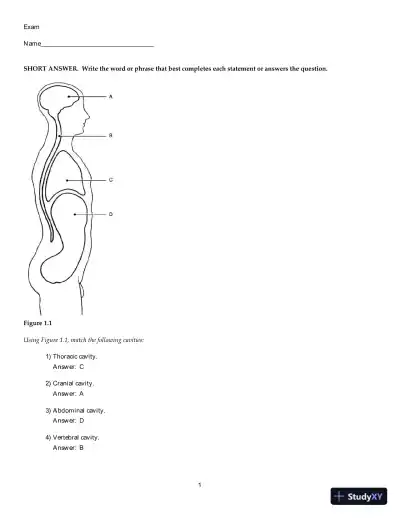 Test Bank for Human Anatomy and Physiology, 11th Edition - Page 1 preview image