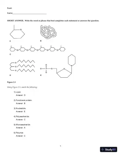Test Bank for Human Anatomy and Physiology, 11th Edition - Page 16 preview image