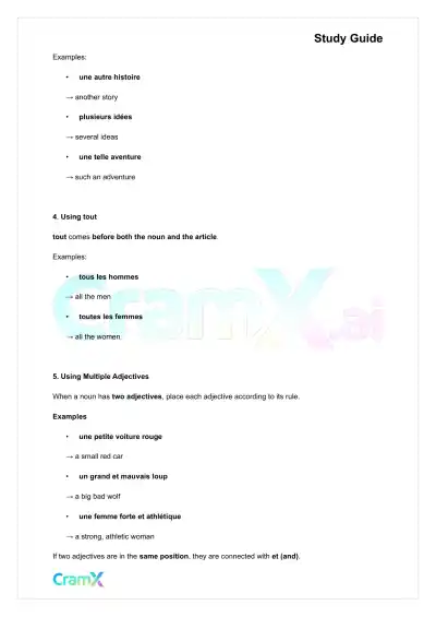 French I - Adjectives - Page 3 preview image