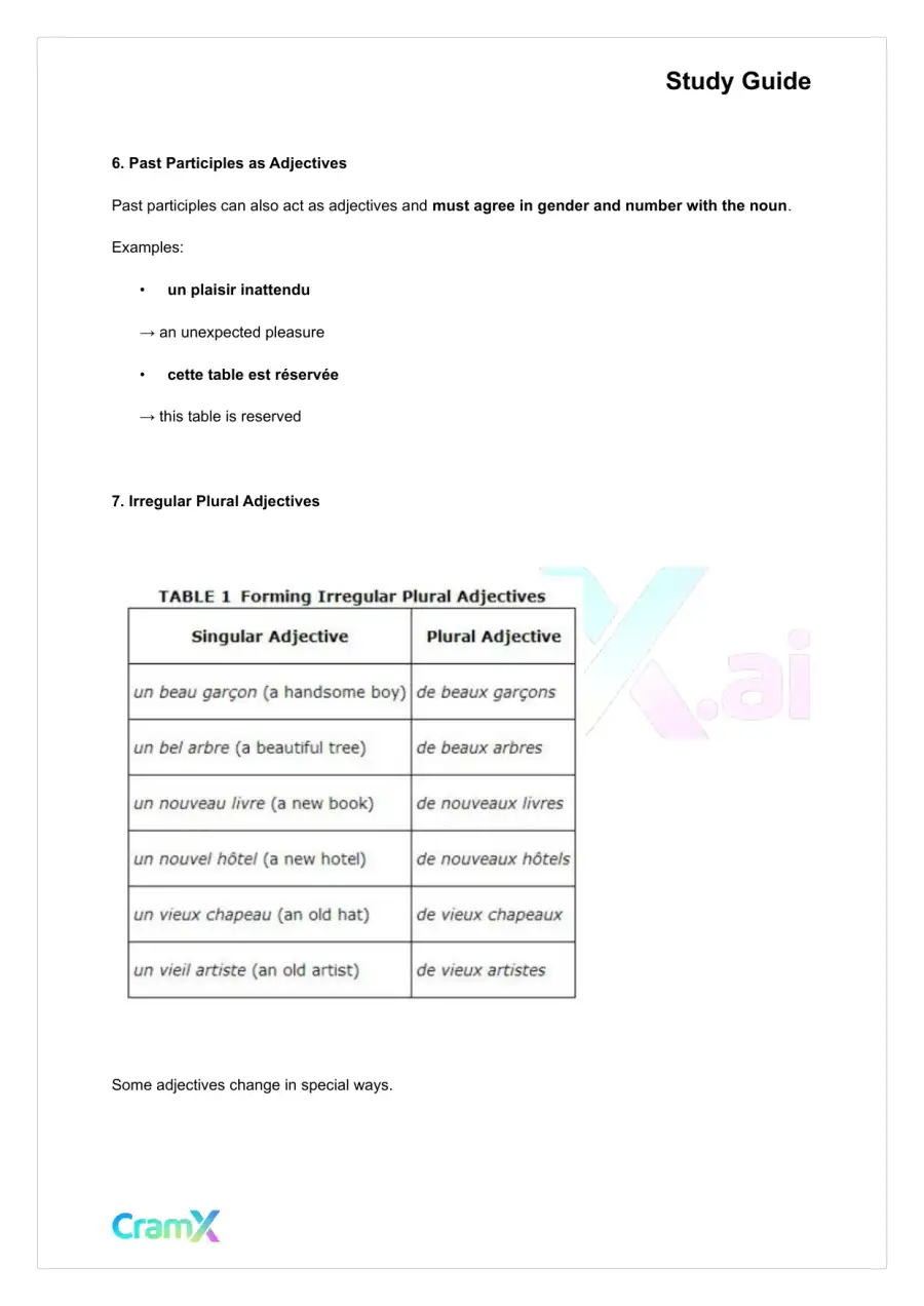 French I - Adjectives, page 4
