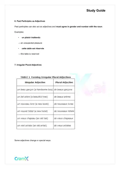 French I - Adjectives - Page 4 preview image