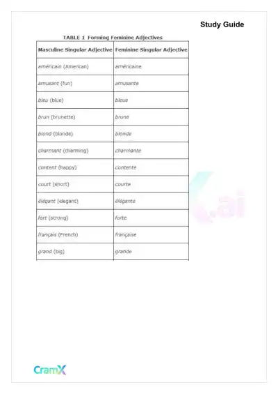 French I - Adjectives - Page 6 preview image