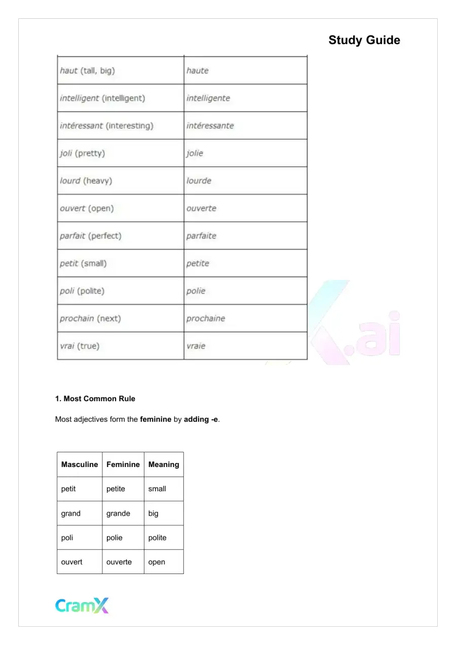 French I - Adjectives, page 7