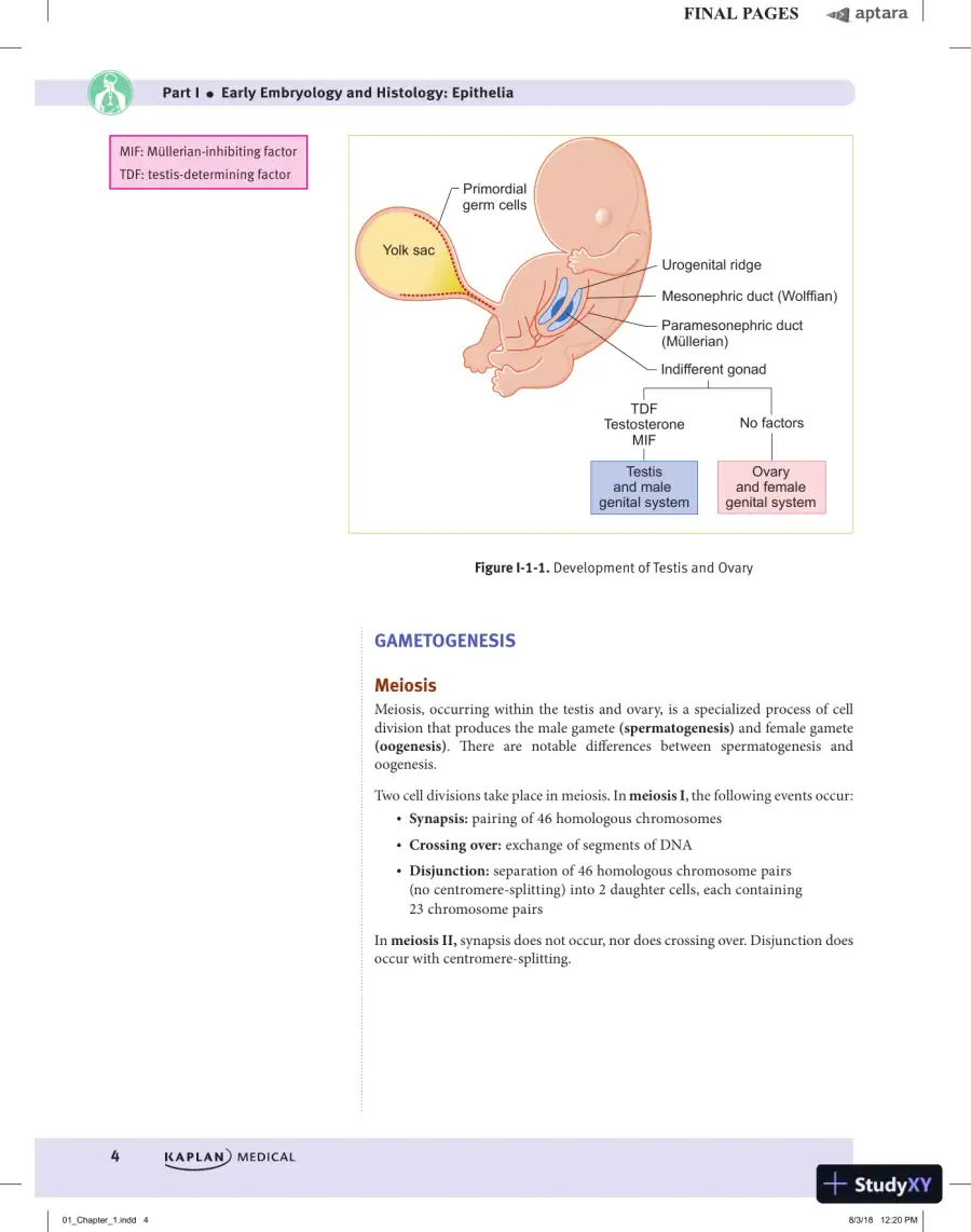 USMLE Step 1 Lecture Notes 2020: 7-Book Set, 1st Edition (2020), page 16
