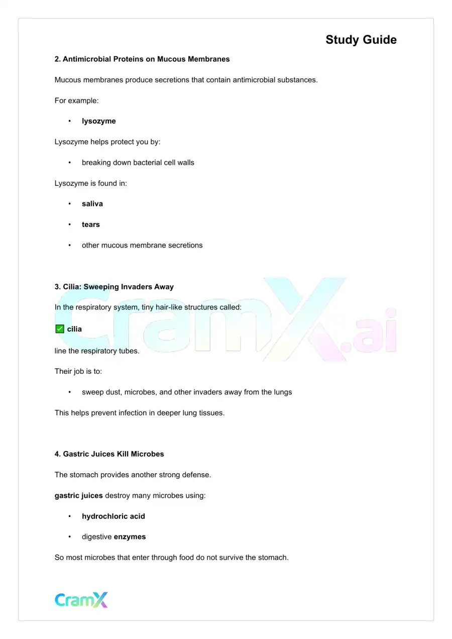 Anatomy and Physiology - The Immune System and Other Body Defenses, page 2