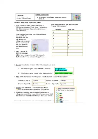 Building DNA Gizmo - Page 2 preview image
