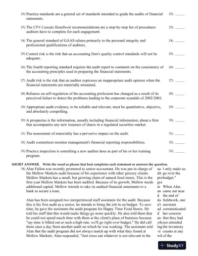 Auditing: An International Approach Seventh Canadian Edition Test Bank - Page 11 preview image