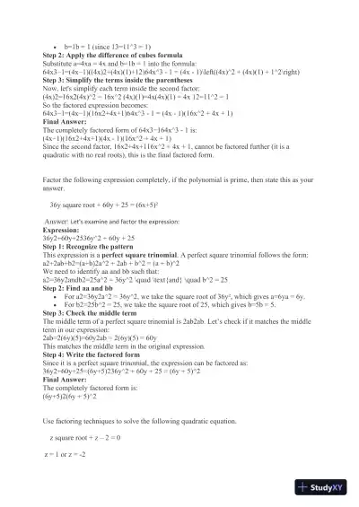 Factoring Polynomial Expressions: A Comprehensive Approach - Page 3 preview image